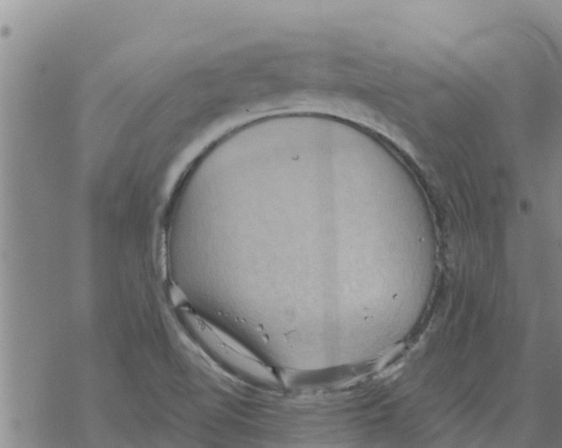 X0000068741510200605262038