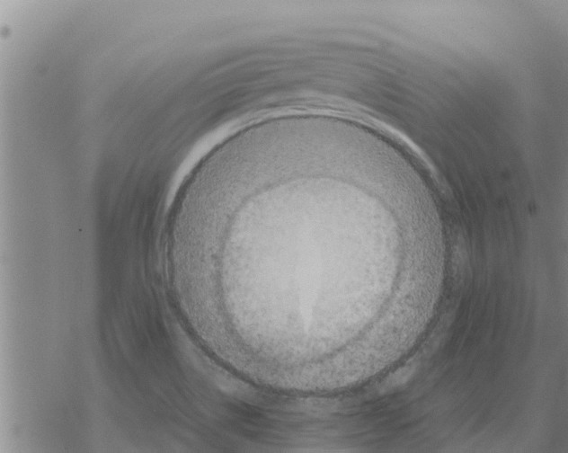 X0000068741514200605262038