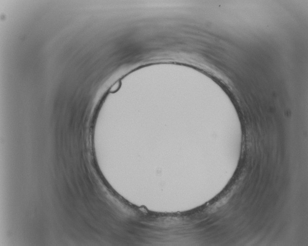 X0000068741517200605262038