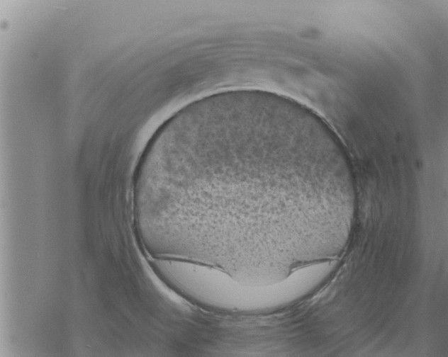 X0000068741519200605262038