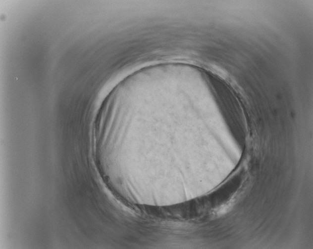 X0000068741520200605262038