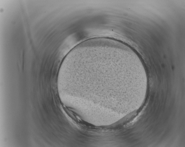 X0000068741521200605262038