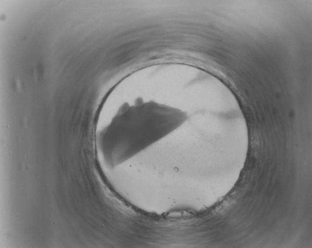 X0000068741522200605262038