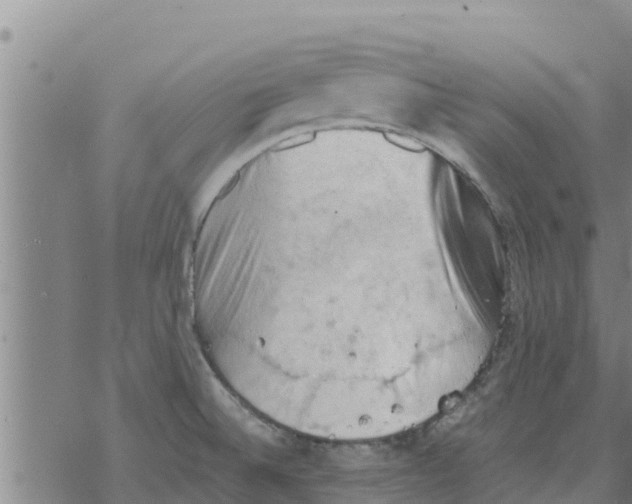 X0000068741524200605262038