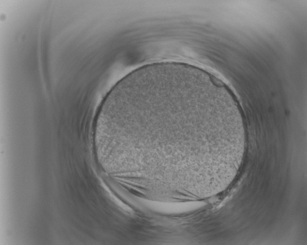 X0000068741525200605262038