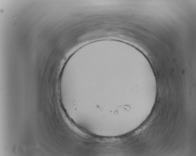 X0000068741526200605262038