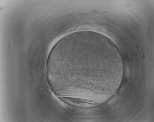 X0000068741527200605262038