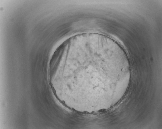 X0000068741528200605262038