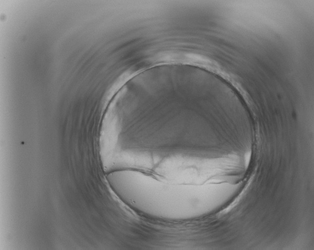 X0000068741529200605262038