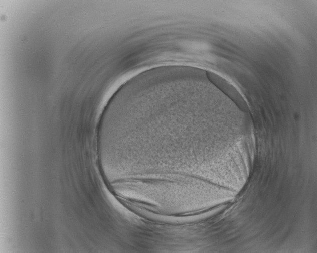 X0000068741531200605262038