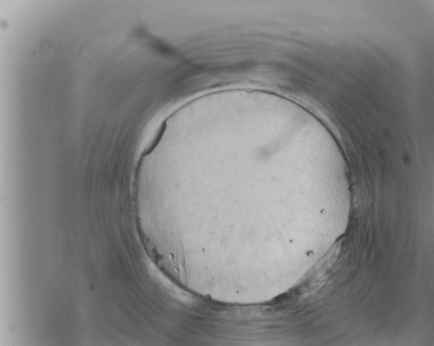 X0000068741532200605262038