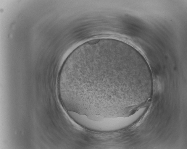 X0000068741533200605262038