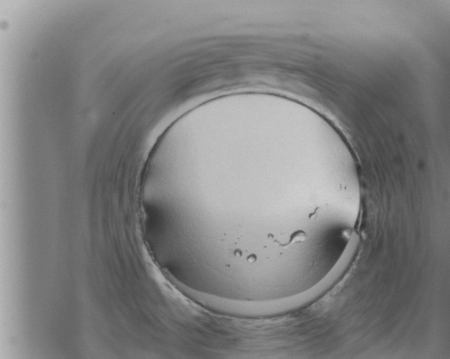 X0000068741534200605262038