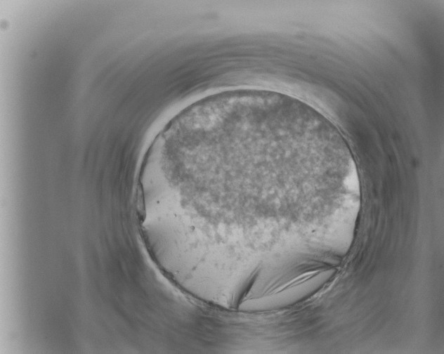 X0000068741536200605262038