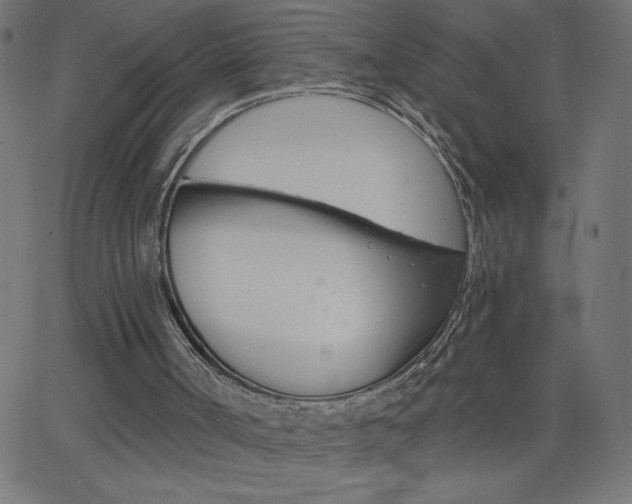 X0000068750002200604280938