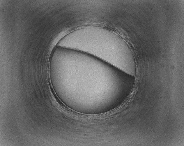 X0000068750003200604280938