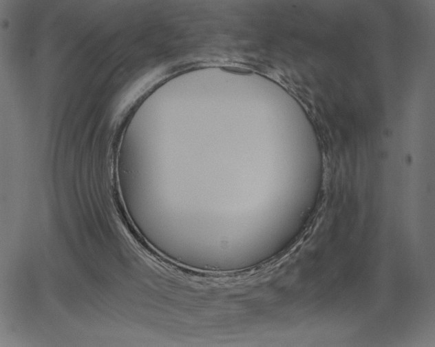 X0000068750005200604280938