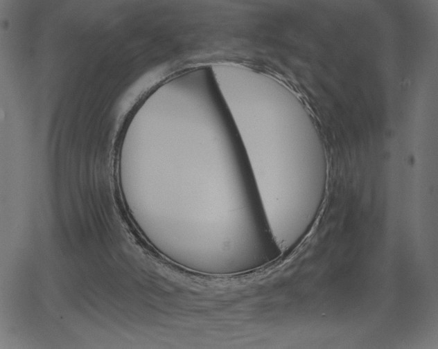 X0000068750006200604280938