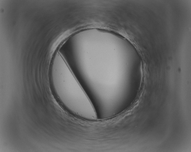 X0000068750007200604280938