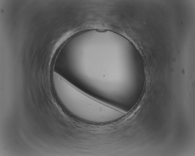 X0000068750008200604280938
