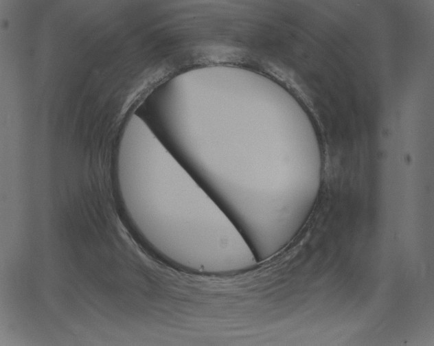 X0000068750010200604280938