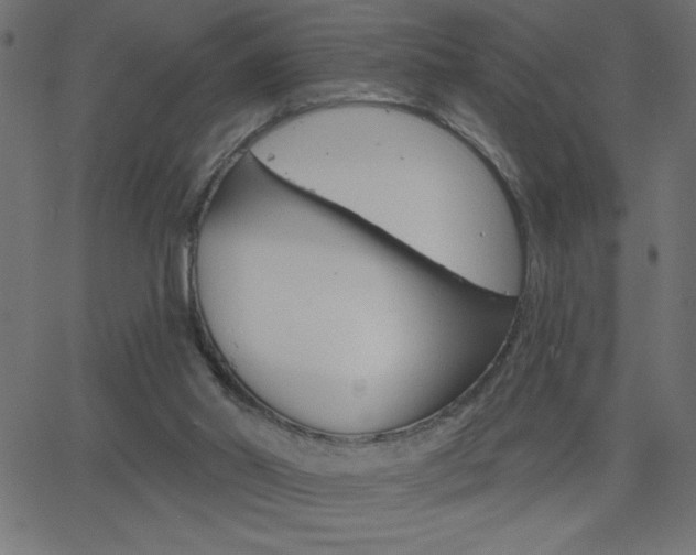 X0000068750014200604280938