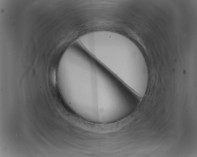 X0000068750027200604280938