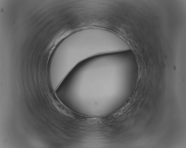 X0000068750050200604280937