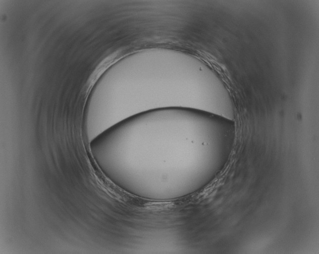 X0000068750051200604280937