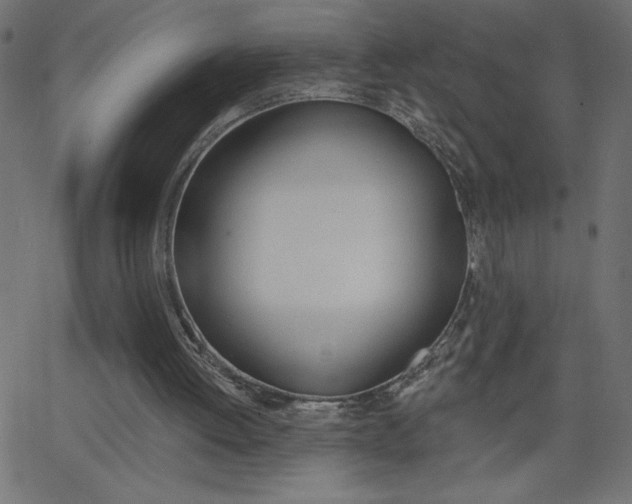 X0000068750052200604280937