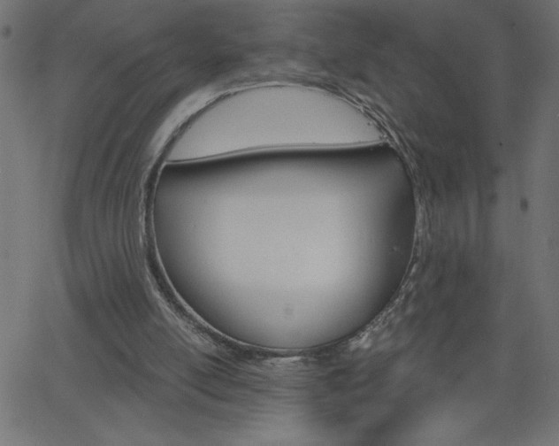 X0000068750054200604280937