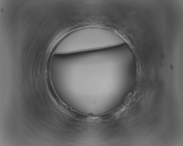 X0000068750055200604280937