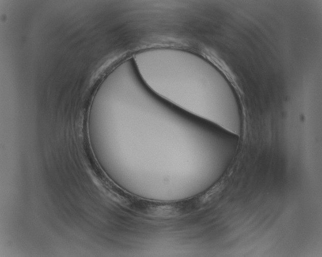 X0000068750058200604280937