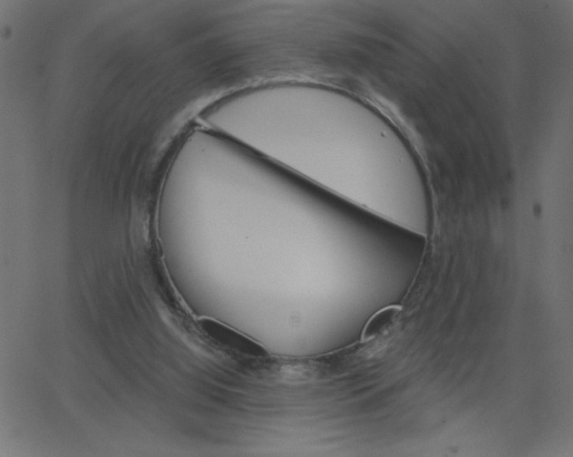 X0000068750060200604280937