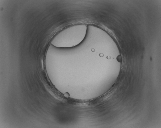 X0000068750061200604280937