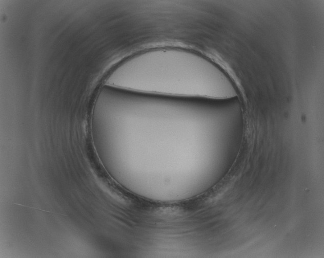 X0000068750063200604280937