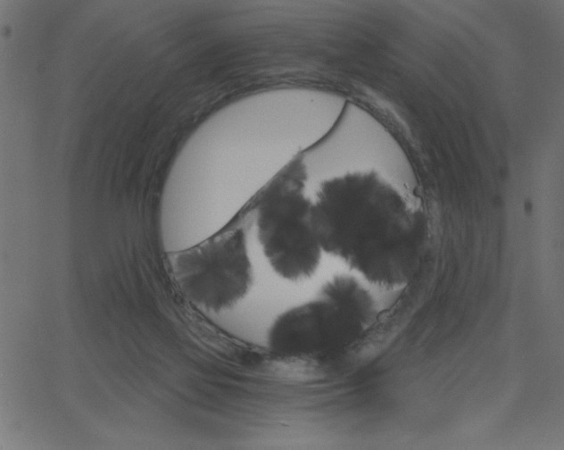 X0000068750069200604280937
