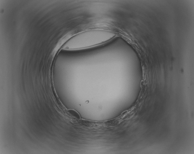 X0000068750099200604280937