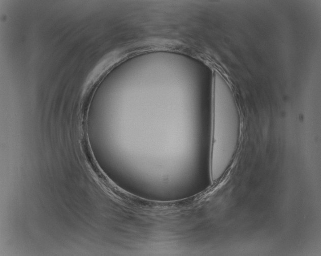 X0000068750101200604280937
