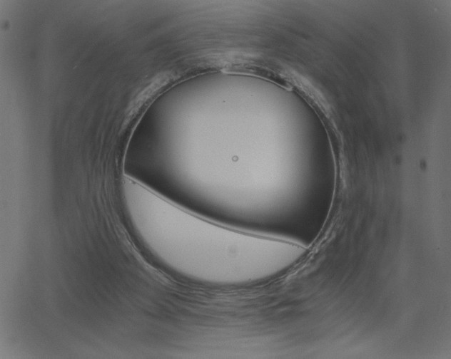X0000068750105200604280937