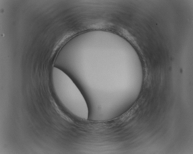 X0000068750106200604280937