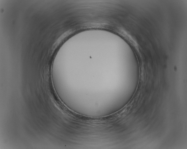 X0000068750107200604280937