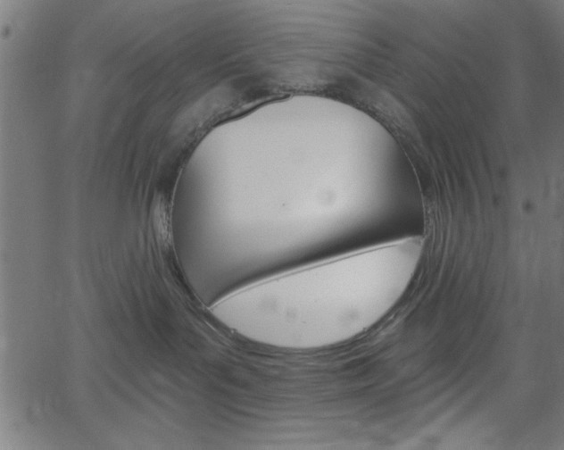 X0000068750143200604280936