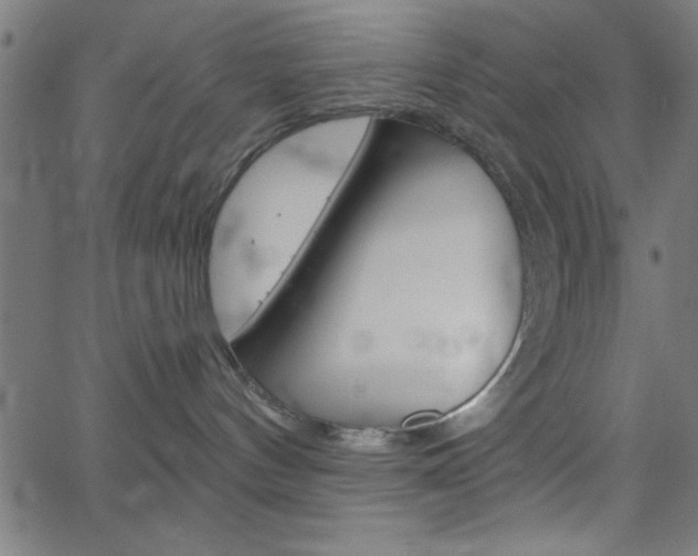X0000068750144200604280936