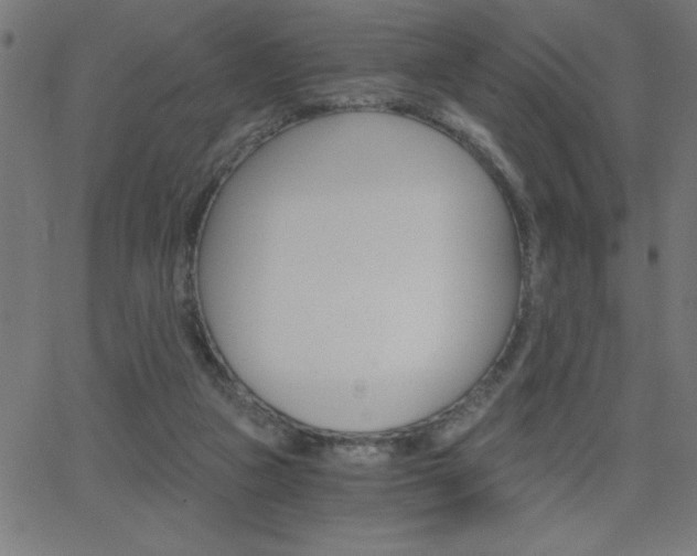 X0000068750161200604280935
