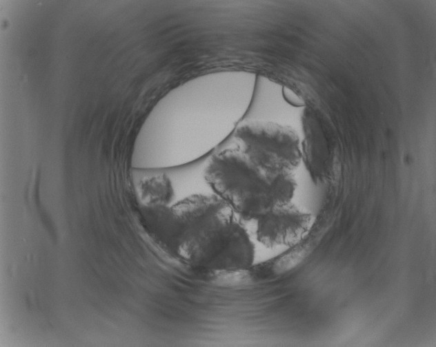 X0000068750185200604280936