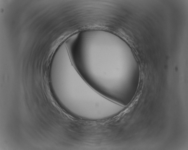 X0000068750193200604280935
