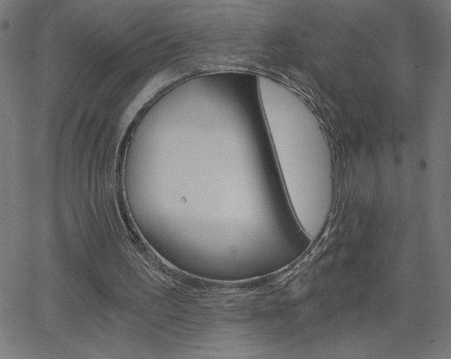 X0000068750195200604280935