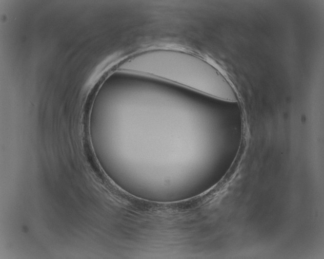 X0000068750199200604280935