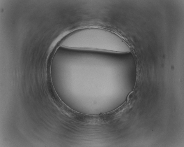 X0000068750200200604280935
